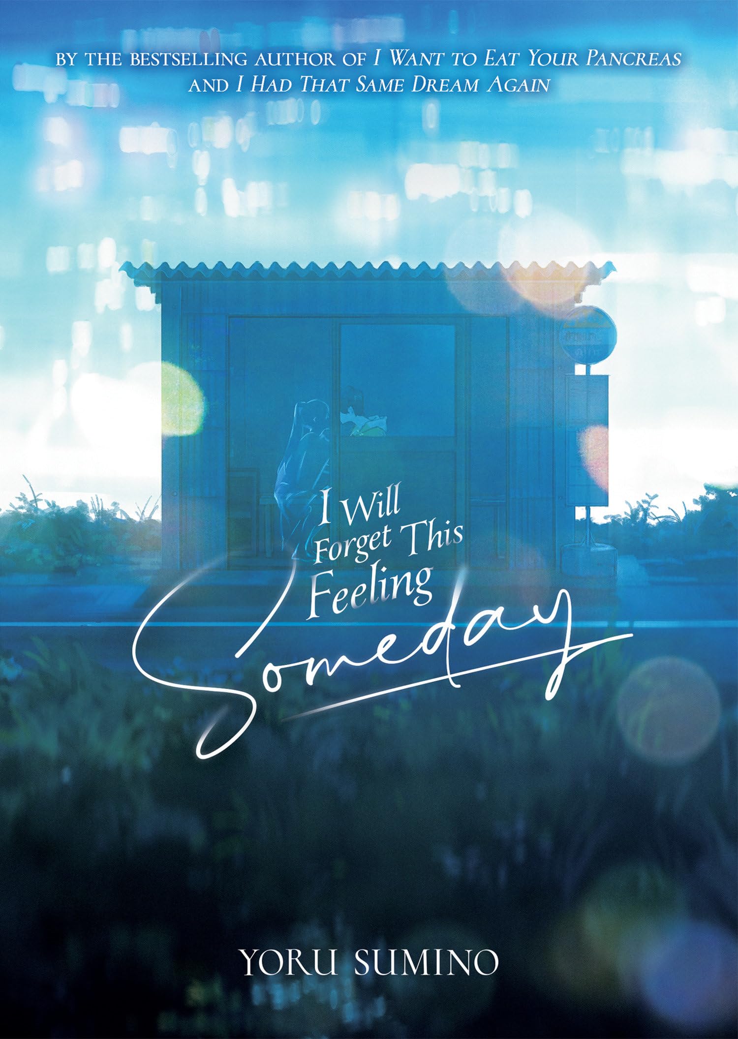 I Will Forget This Feeling Someday (Light Novel),Used