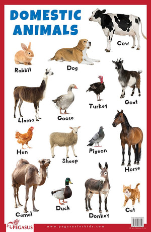 Domestic Animals - Thick Laminated Primary Chart
