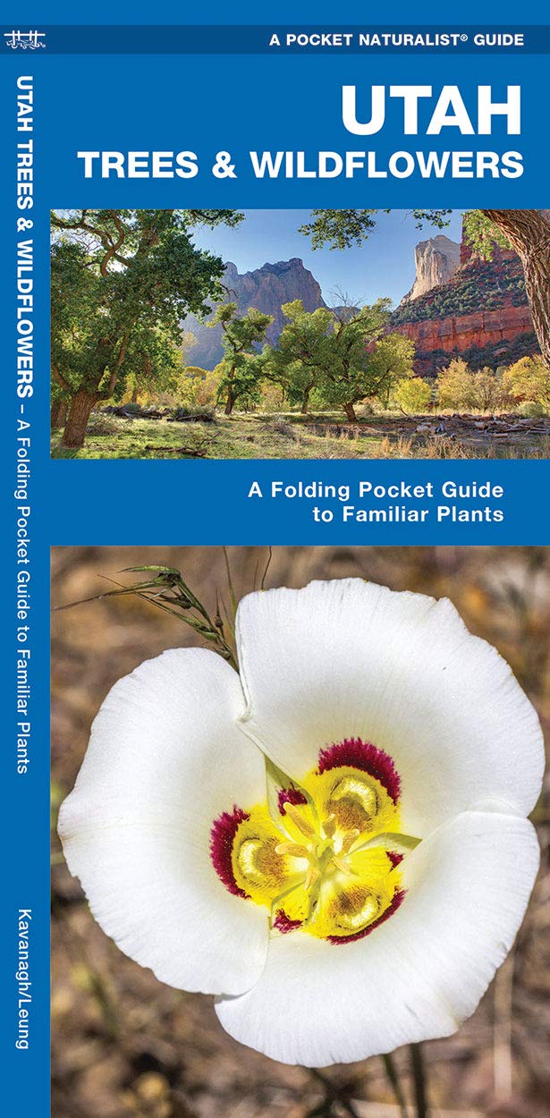 Utah Trees & Wildflowers: A Folding Pocket Guide to Familiar Plants (Wildlife and Nature Identification),Used