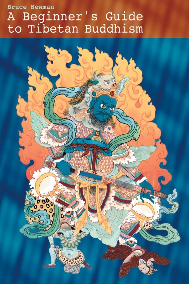 A Beginner's Guide to Tibetan Buddhism: Notes from a Practitioner's Journey,Used
