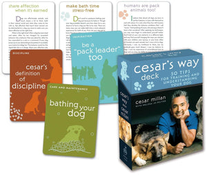 Cesar's Way Deck: 50 Tips for Training and Understanding Your Dog,New