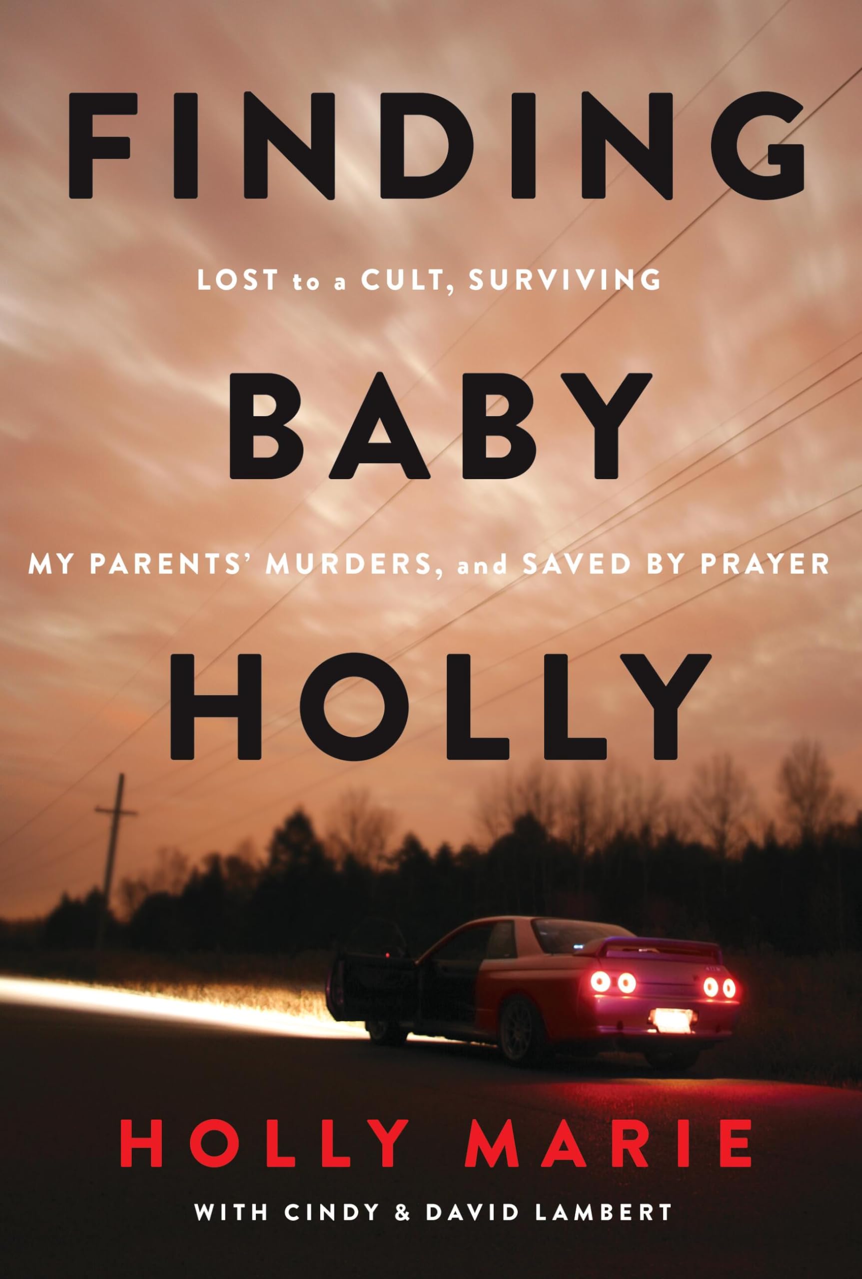 Finding Baby Holly: Lost to a Cult, Surviving My Parents Murders, and Saved by Prayer