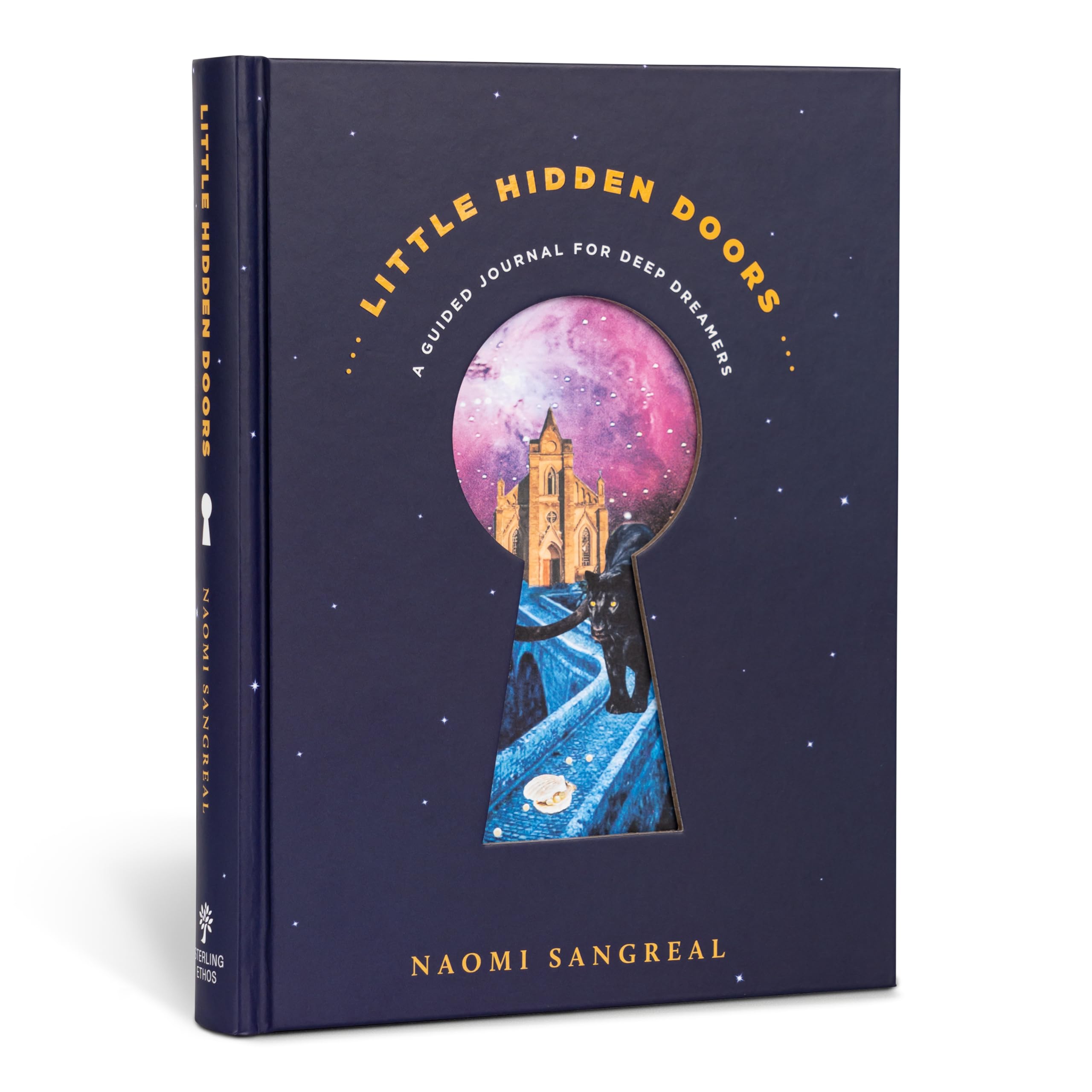 Little Hidden Doors: A Guided Journal for Deep Dreamers  A Dream Journal,Used