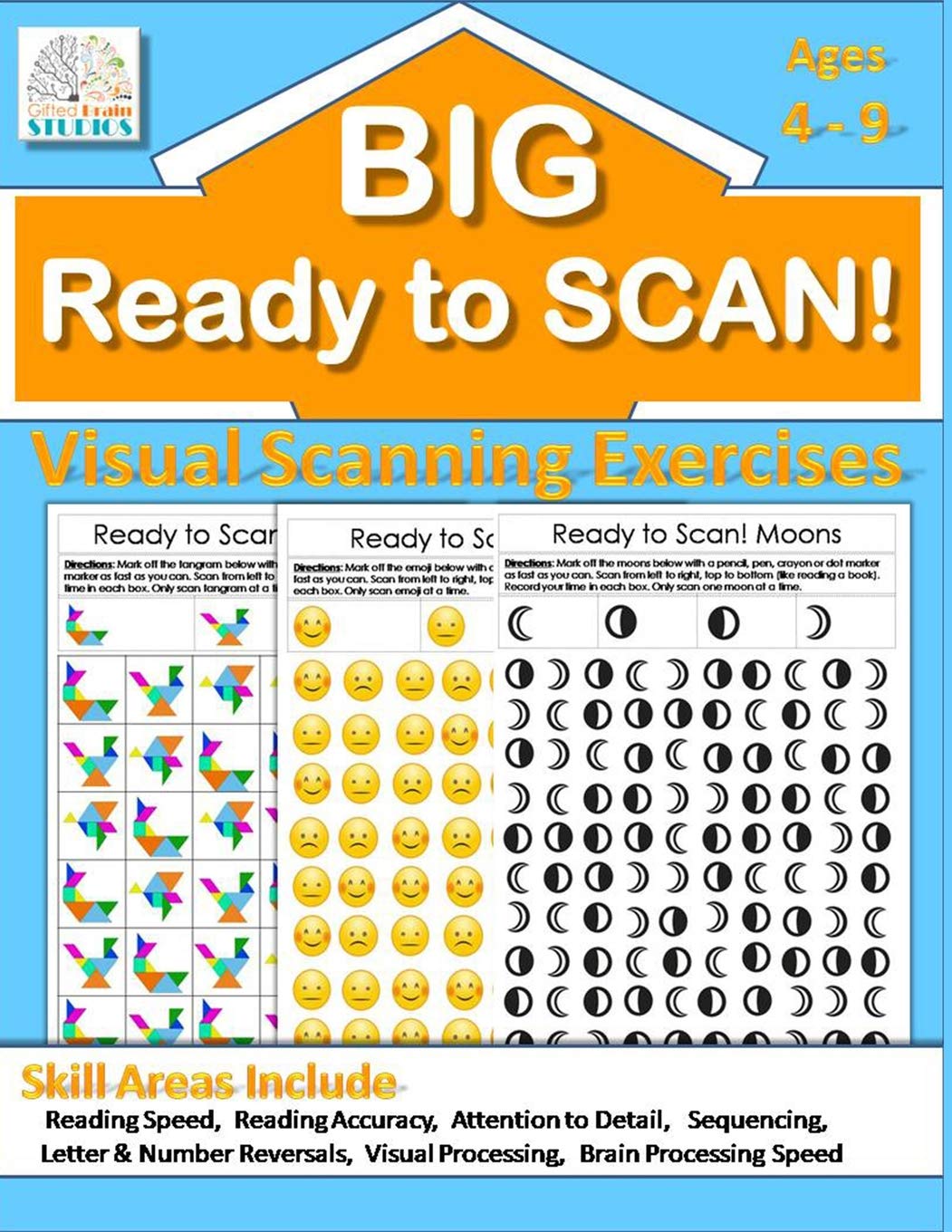 Ready to Scan! BIG BOOK: Beginners, Intermediate & Advanced Visual Scanning Exercises (Visual Tracking Exercises),Used