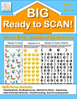 Ready to Scan! BIG BOOK: Beginners, Intermediate & Advanced Visual Scanning Exercises (Visual Tracking Exercises),Used