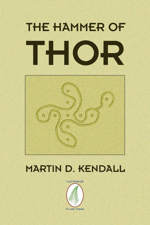 The Hammer Of Thor,Used