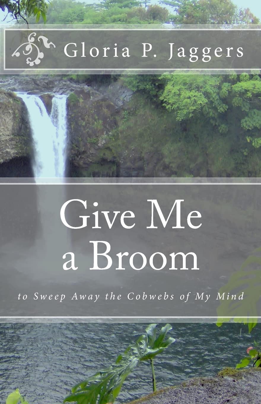 Give Me A Broom To Sweep Away The Cobwebs Of My Mind,Used