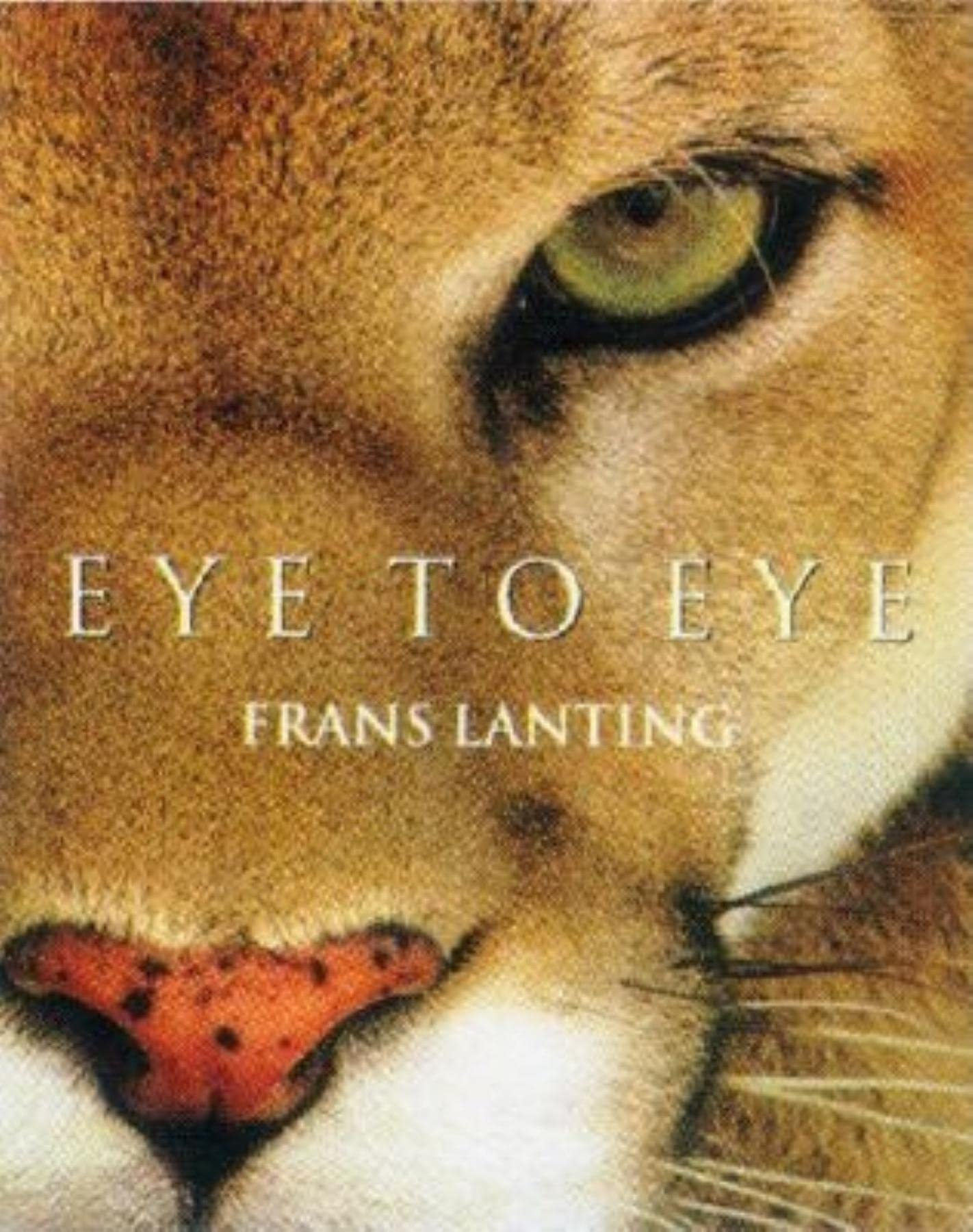Eye To Eye