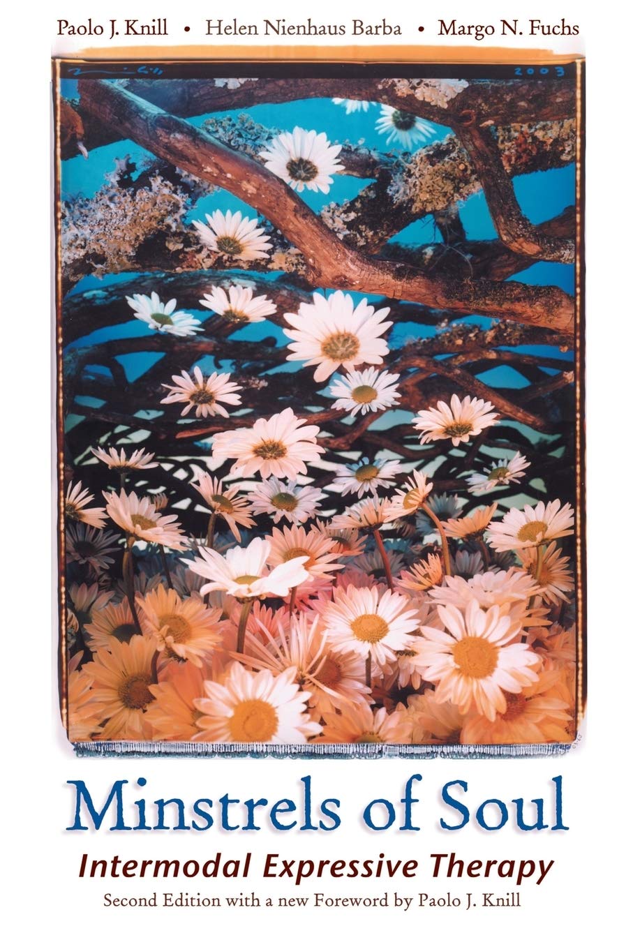 Minstrels Of Soul: Intermodal Expressive Therapy-new