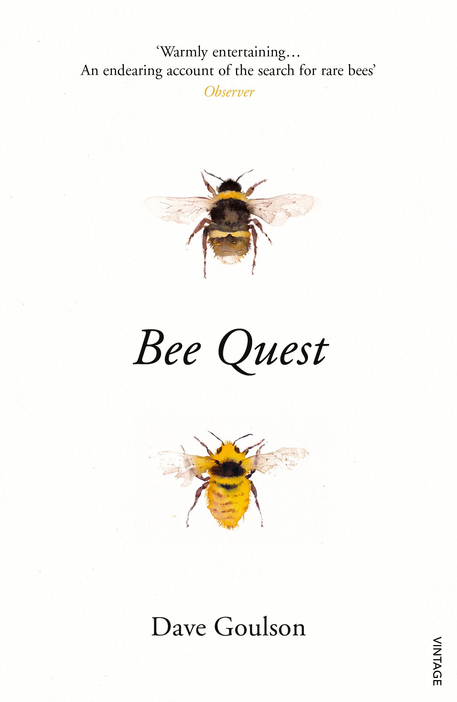 Bee Quest,Used