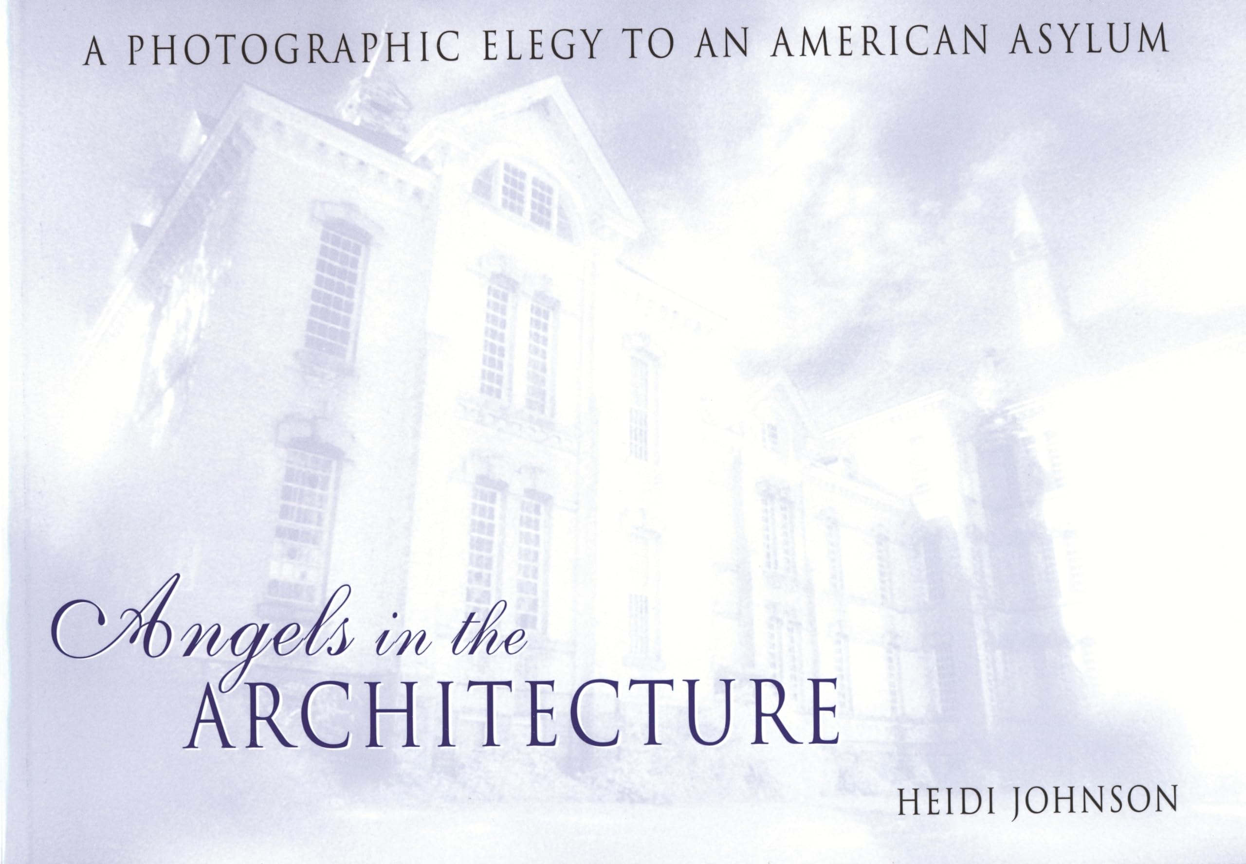 Angels in the Architecture: A Photographic Elegy to an American Asylum (Great Lakes Books),Used