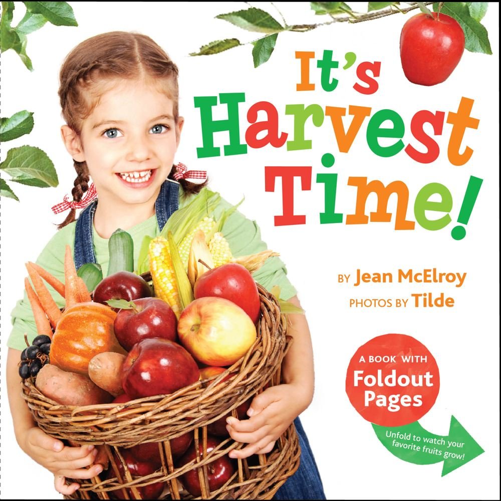 Its Harvest Time!: A Book with Foldout Pages
