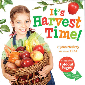 Its Harvest Time!: A Book with Foldout Pages