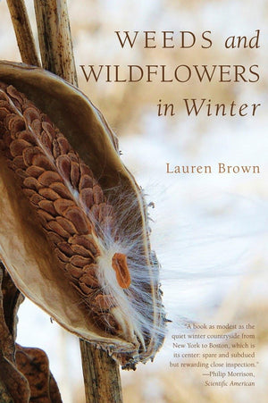 Weeds and Wildflowers in Winter,Used