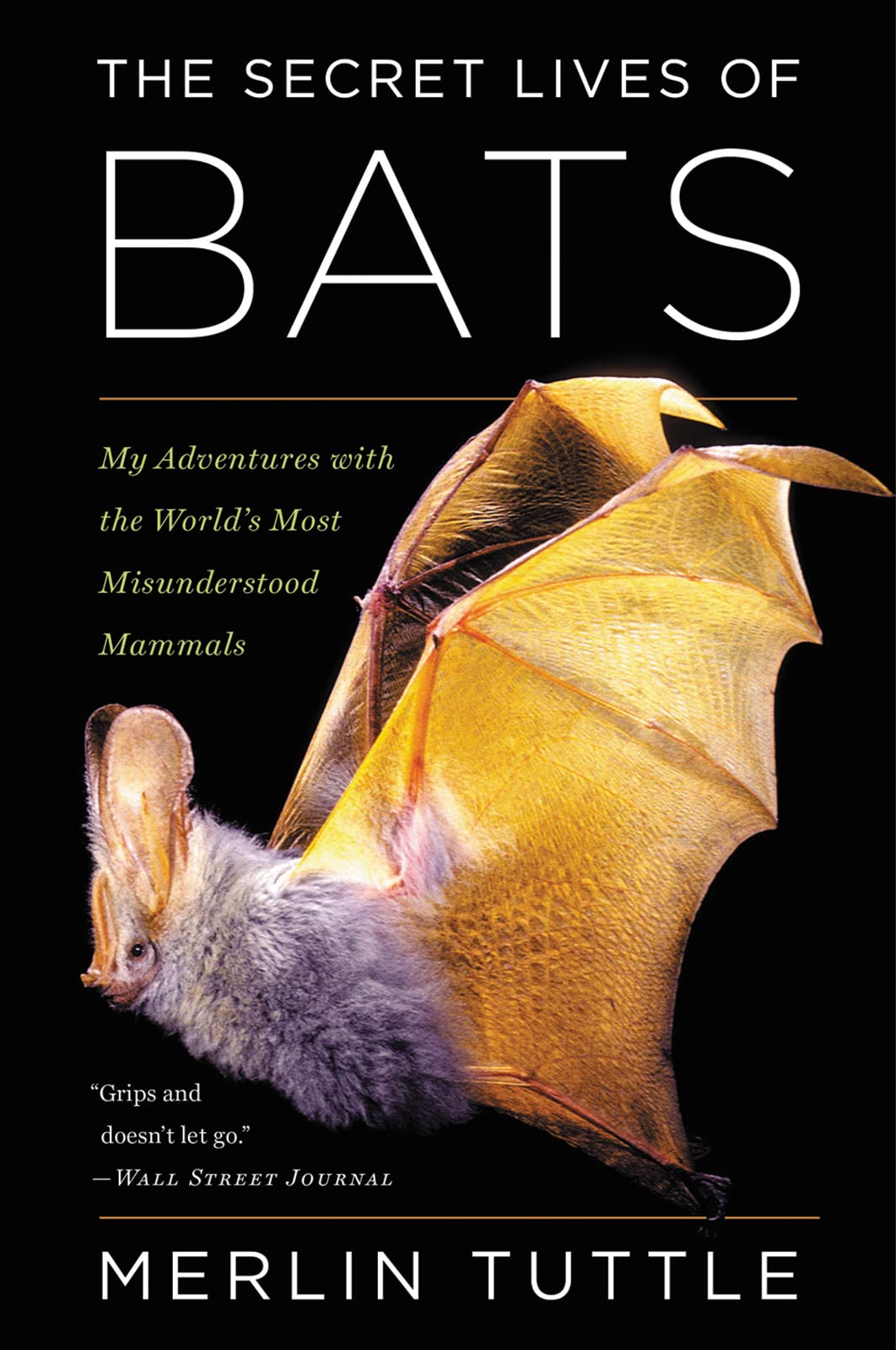 The Secret Lives Of Bats: My Adventures with the World's Most Misunderstood Mammals,Used