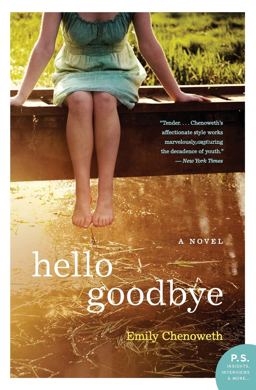 Hello Goodbye: A Novel,Used