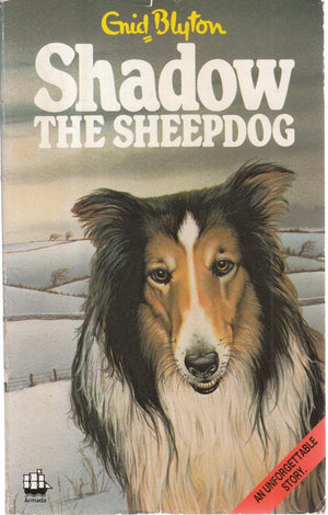Shadow the Sheepdog