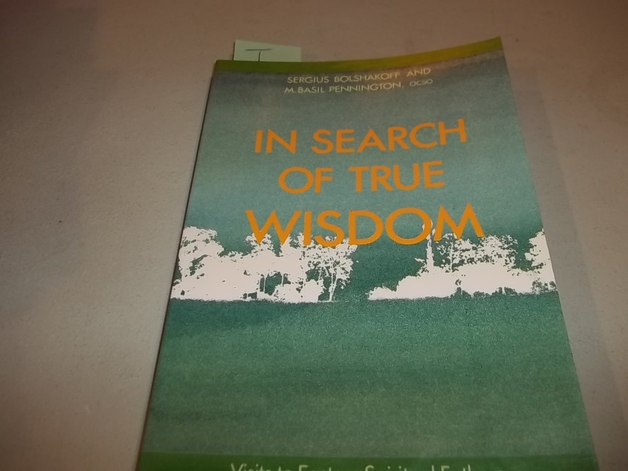 In Search of True Wisdom: Visits to Eastern Spiritual Fathers,Used