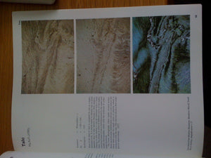 Atlas Of The Rockforming Minerals In Thin Section,New