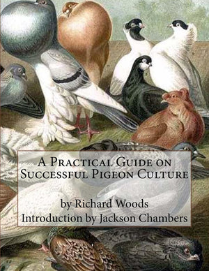 A Practical Guide on Successful Pigeon Culture,Used