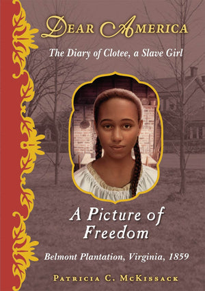 A Picture Of Freedom (Dear America),New