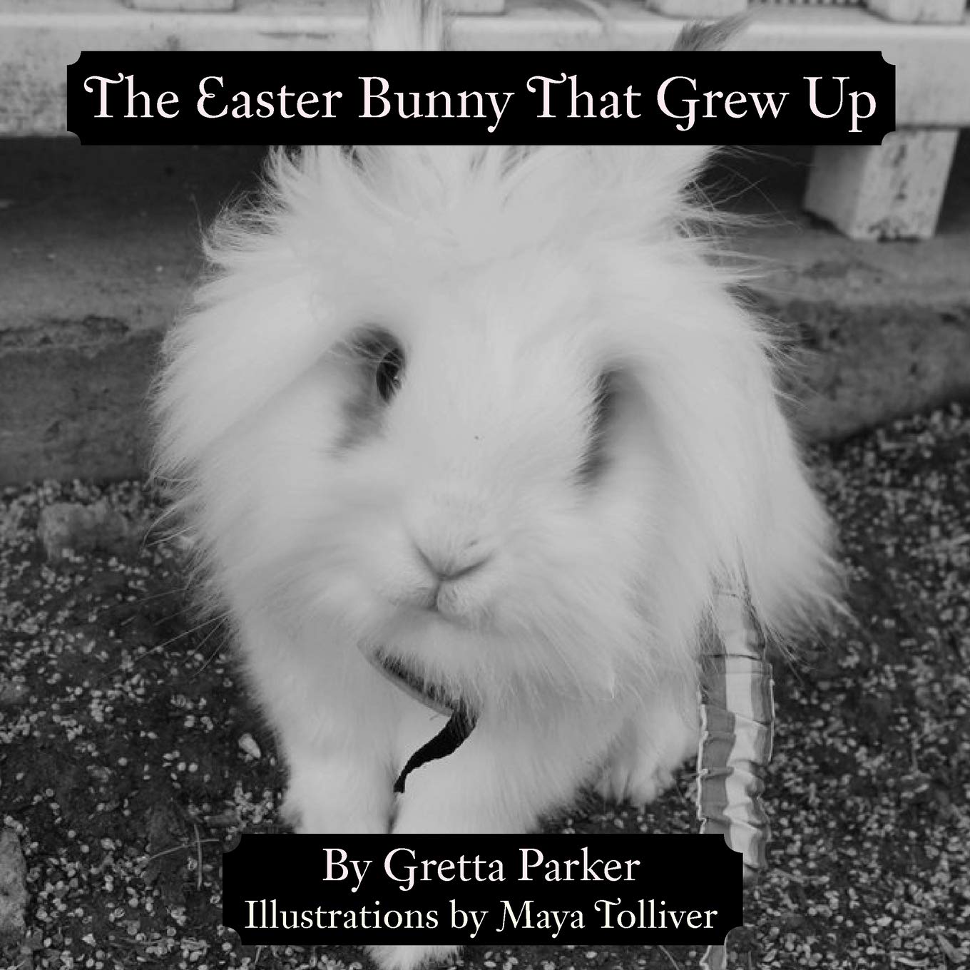 The Easter Bunny That Grew Up,Used