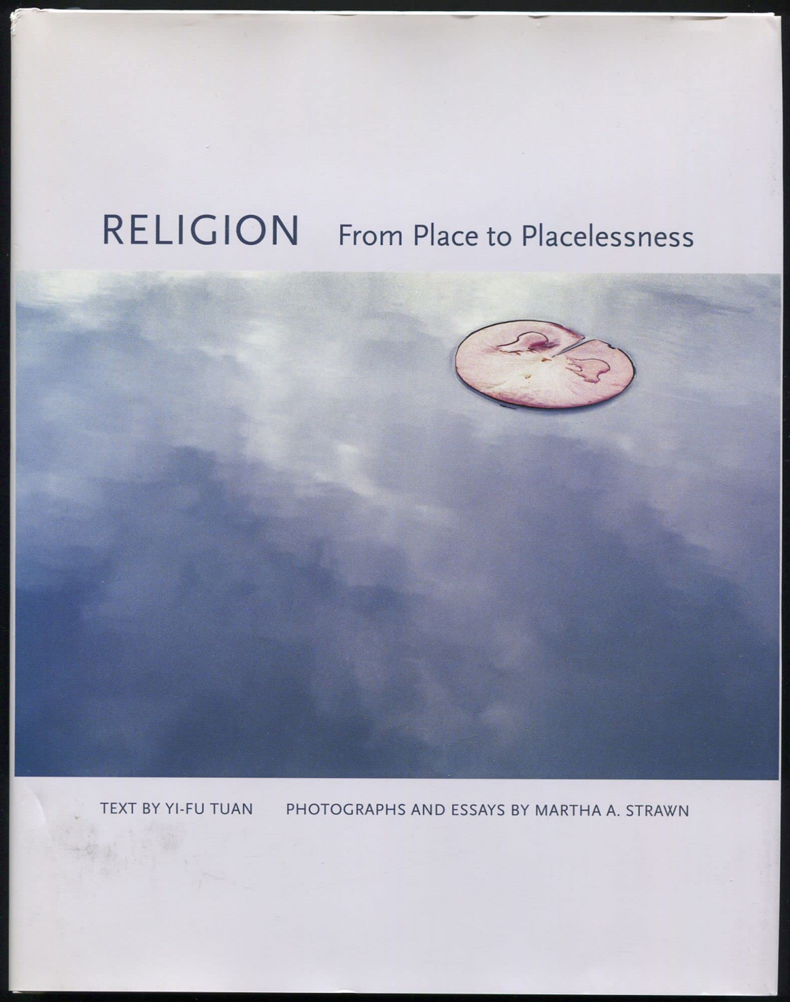 Religion: From Place to Placelessness (Center Books on the International Scene),New