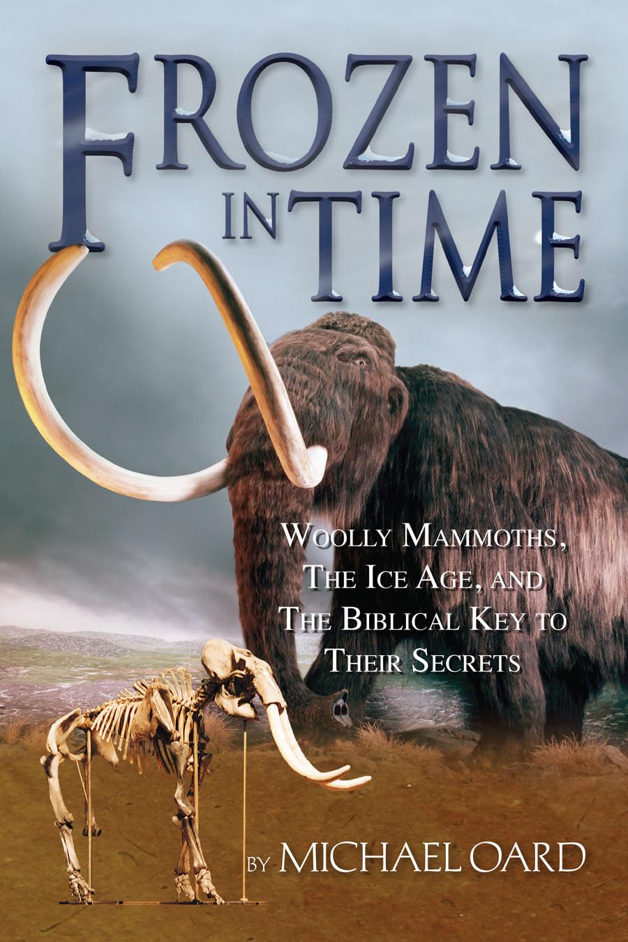 Frozen in Time,Used