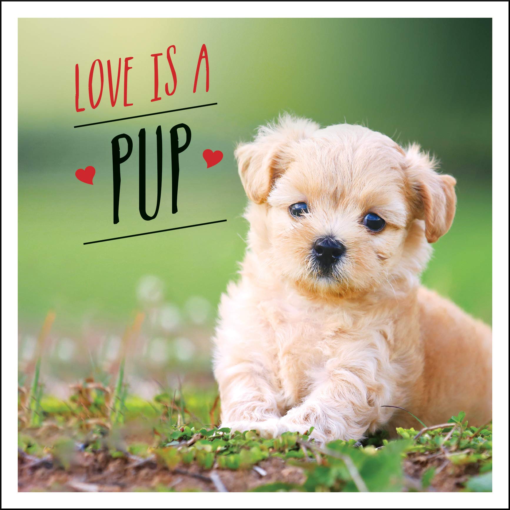 Love Is A Pup: A Dogtastic Celebration Of The World'S Cutest Puppies