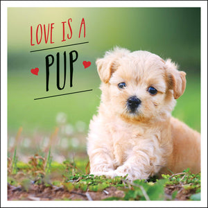 Love Is A Pup: A Dogtastic Celebration Of The World'S Cutest Puppies