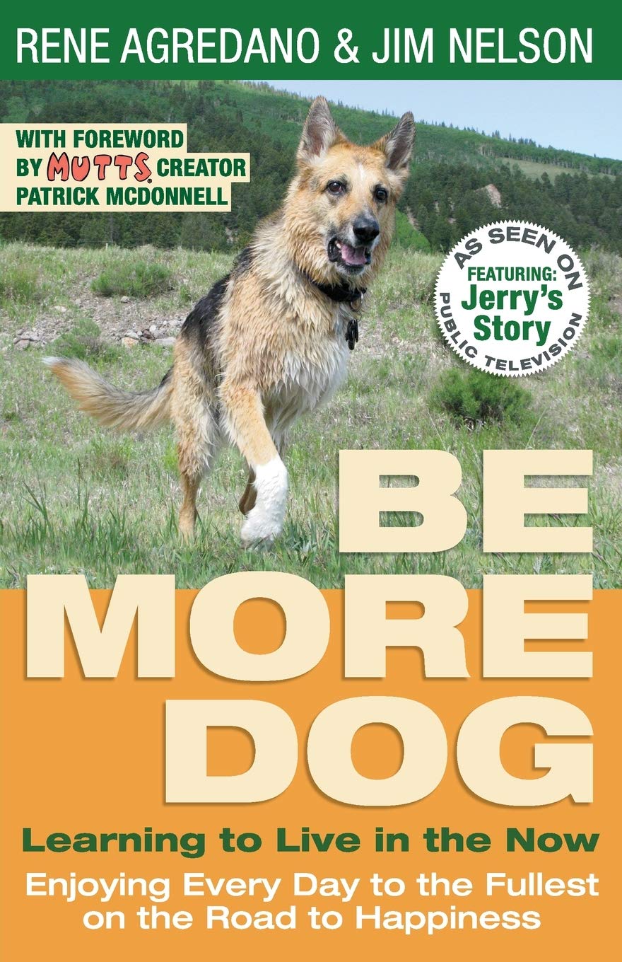 Be More Dog: Learning to Live in the Now,Used