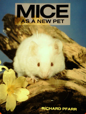 Mice As a New Pet,Used