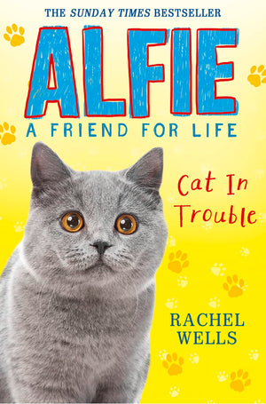 Alfie Cat in Trouble (Alfie A Friend for Life),Used