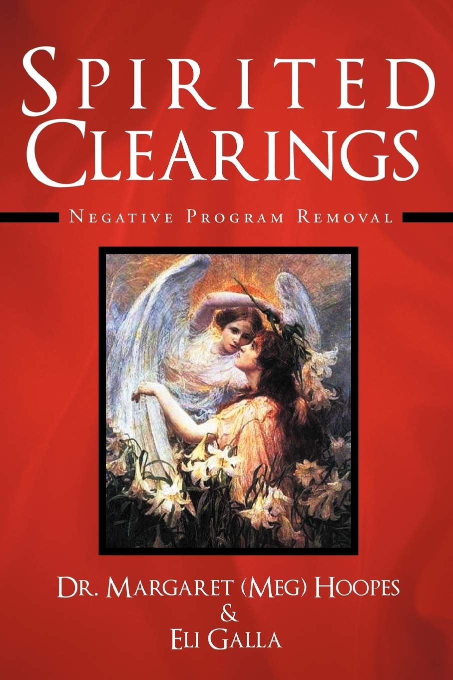 Spirited Clearings: Negative Program Removal,Used