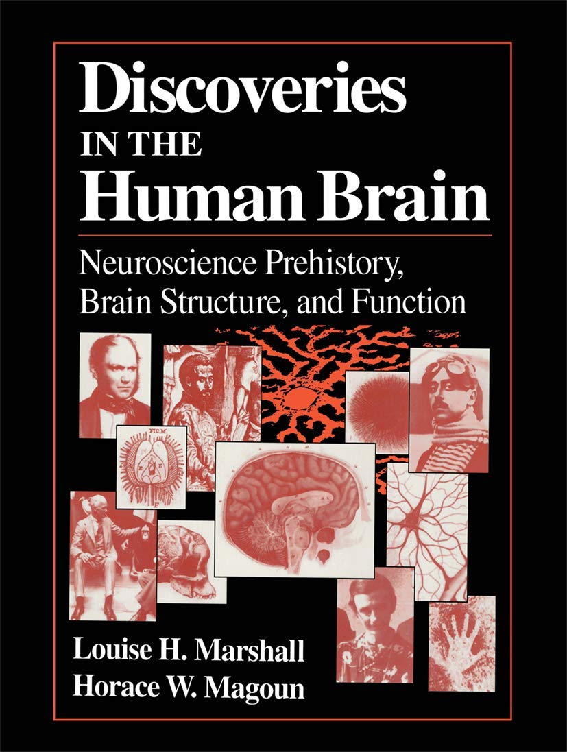 Discoveries in the Human Brain: Neuroscience Prehistory, Brain Structure, and Function,Used