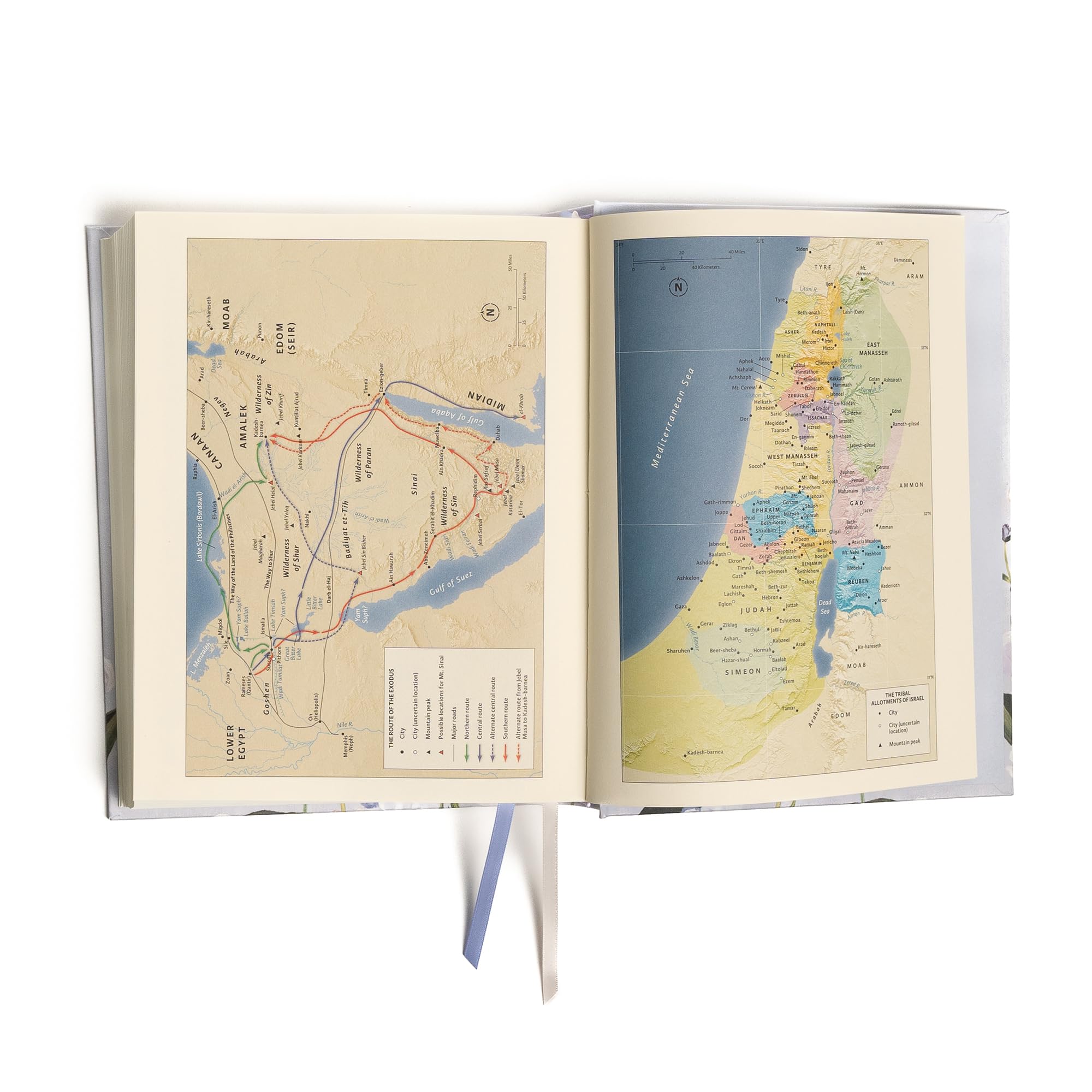 CSB Notetaking Bible, Large Print Hosanna Revival Edition, Lavender/Peach Cloth Over Board, Black Letter, SingleColumn, Journal,Used