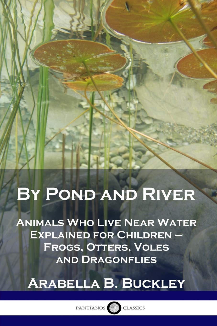 By Pond and River: Animals Who Live Near Water Explained for Children  Frogs, Otters, Voles and Dragonflies,Used