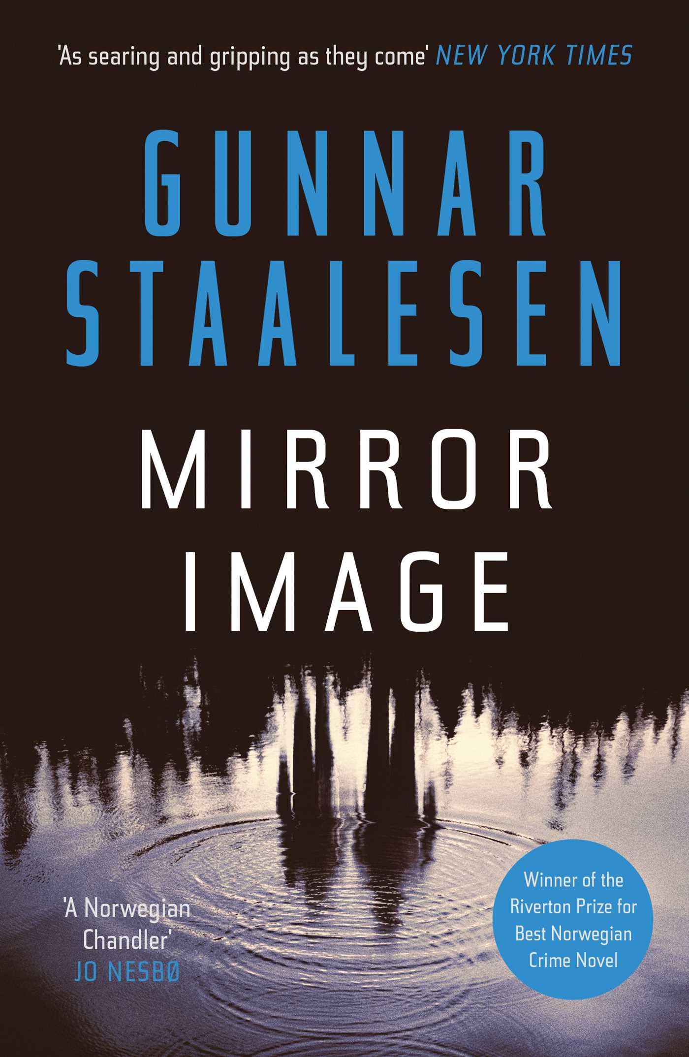 Mirror Image (Varg Veum Series),New