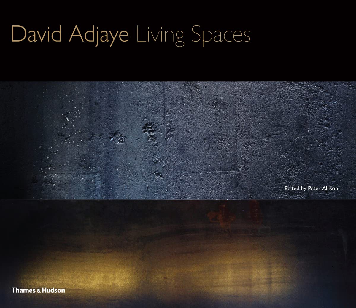 David Adjaye: Living Spaces,Used