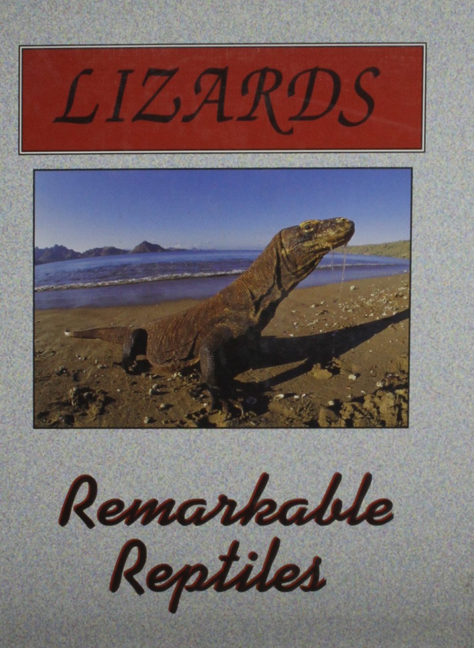 Lizards (Remarkable Reptiles & Amazing Amphibians),Used