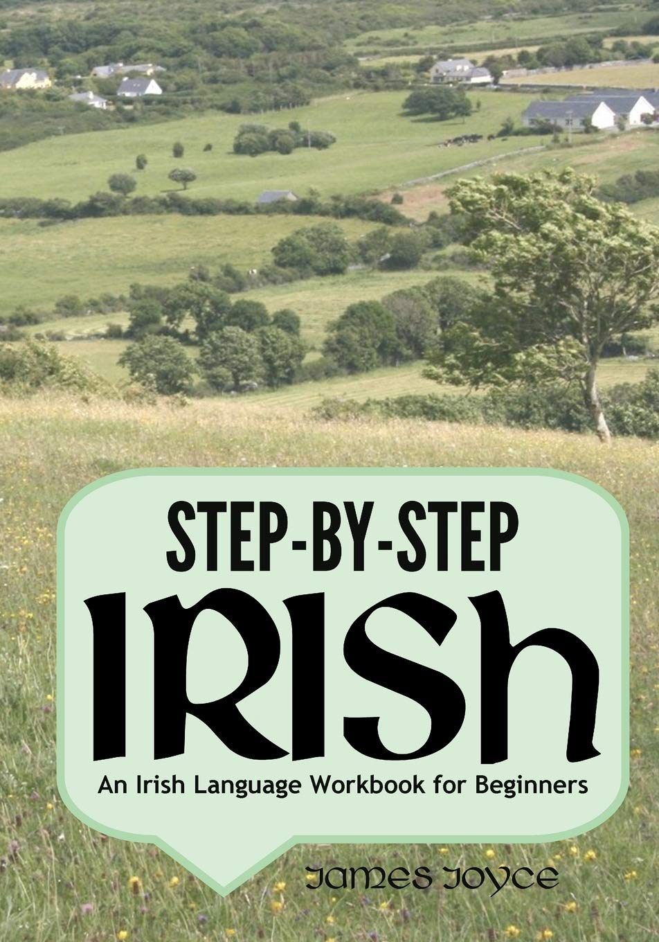 Stepbystep Irish: An Irish Language Workbook For Beginners
