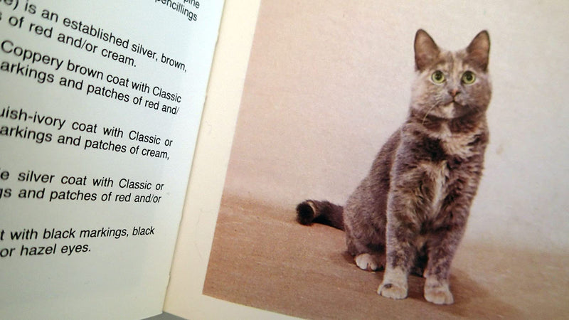 Simon & Schuster's Guide to Cats,New