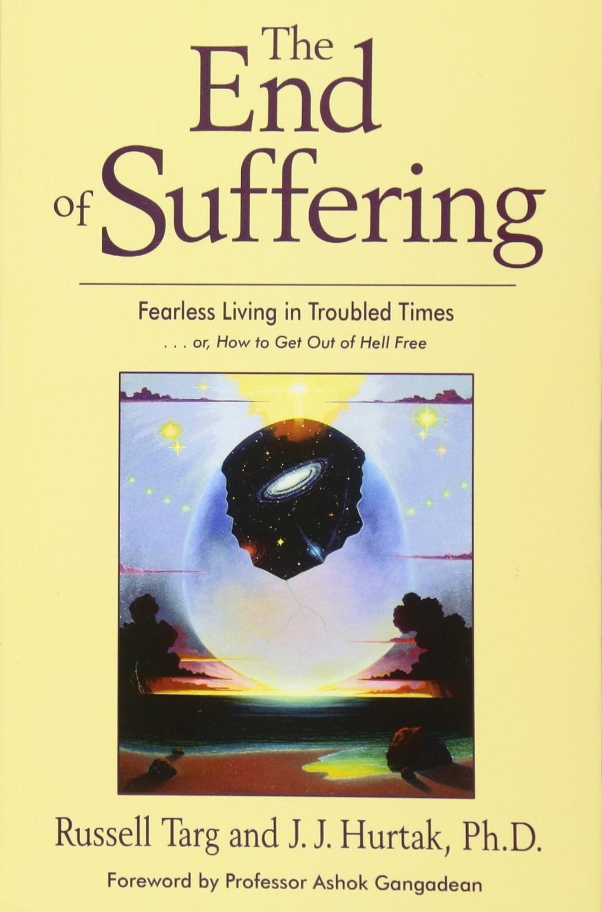 The End of Suffering: Fearless Living in Troubled Times . . or, How to Get Out of Hell Free,Used