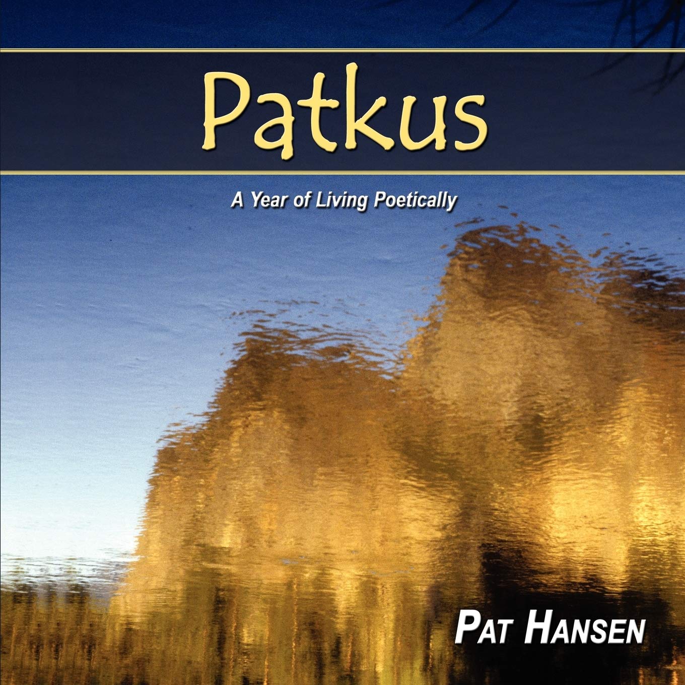 Patkus: A Year of Living Poetically,Used