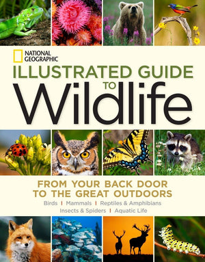 National Geographic Illustrated Guide to Wildlife: From Your Back Door to the Great Outdoors,Used