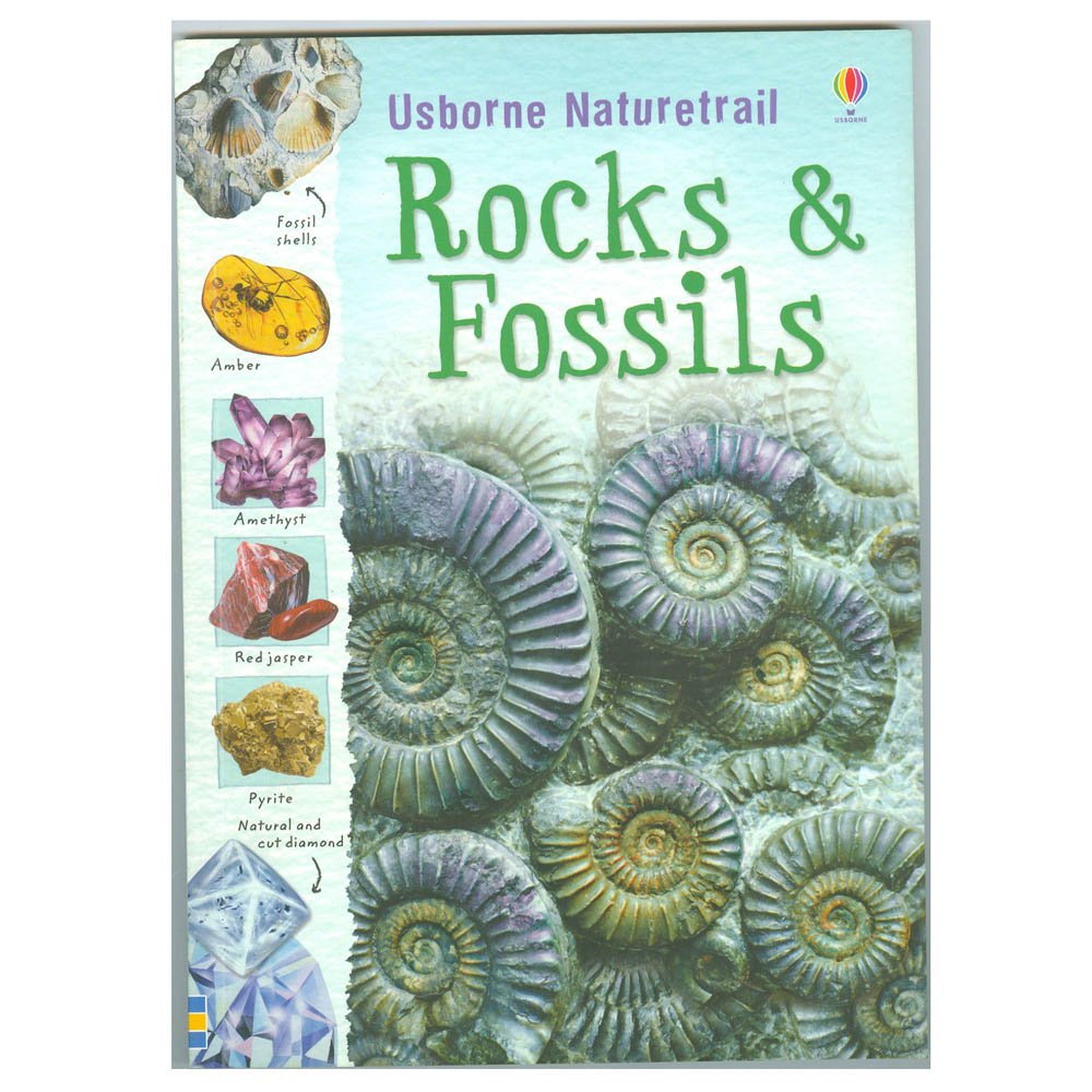 Rocks & Fossils,Used