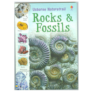 Rocks & Fossils,Used