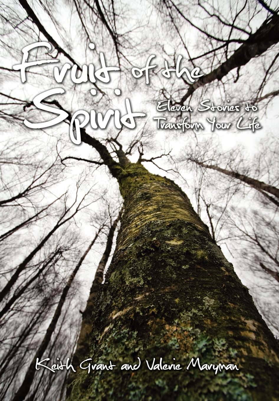 Fruit of the Spirit: Eleven Stories to Transform Your Life,Used