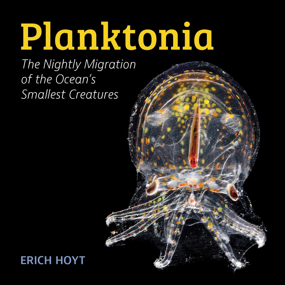 Planktonia: The Nightly Migration of the Oceans Smallest Creatures