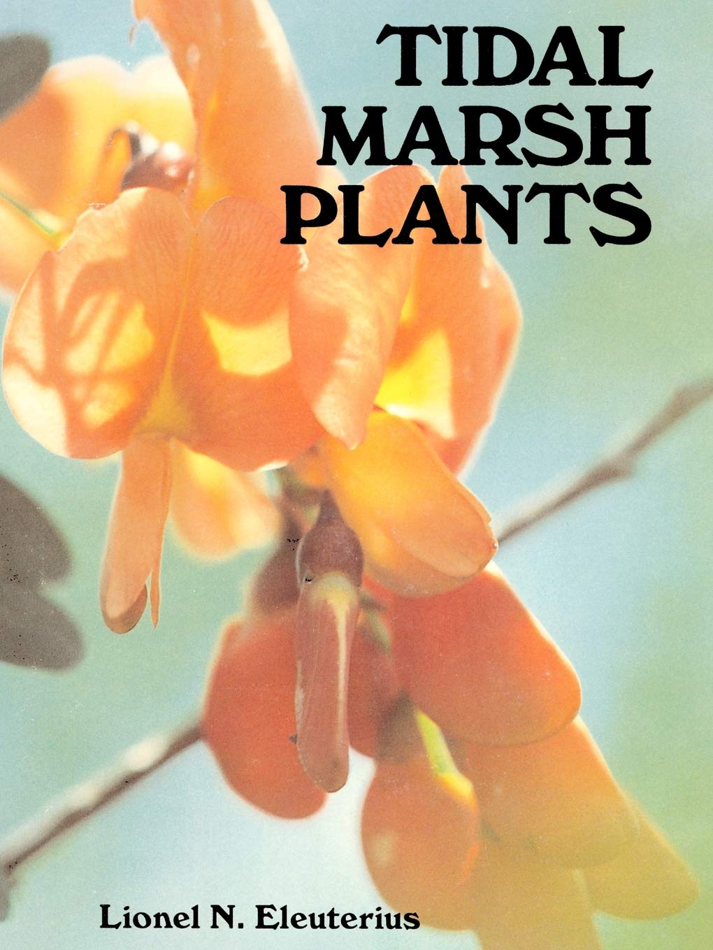 Tidal Marsh Plants,Used